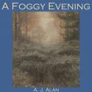 A Foggy Evening Audiobook