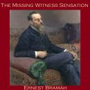The Missing Witness Sensation Audiobook