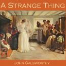 A Strange Thing Audiobook