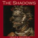 The Shadows Audiobook