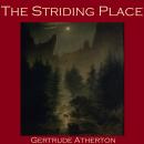 The Striding Place Audiobook