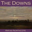 The Downs Audiobook