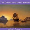 The Overcrowded Iceberg Audiobook