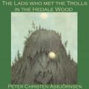 The Lads who met the Trolls in the Hedale Wood Audiobook
