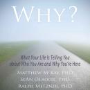 Why?: What Your Life Is Telling You about Who You Are and Why You're Here, Ralph Metzner, Seán ÓLaoire PhD, Matthew McKay PhD